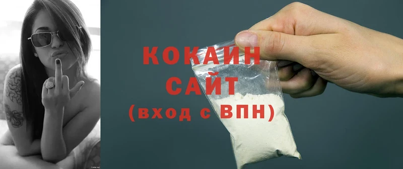 наркотики  Чусовой  нарко площадка наркотические препараты  КОКАИН FishScale 